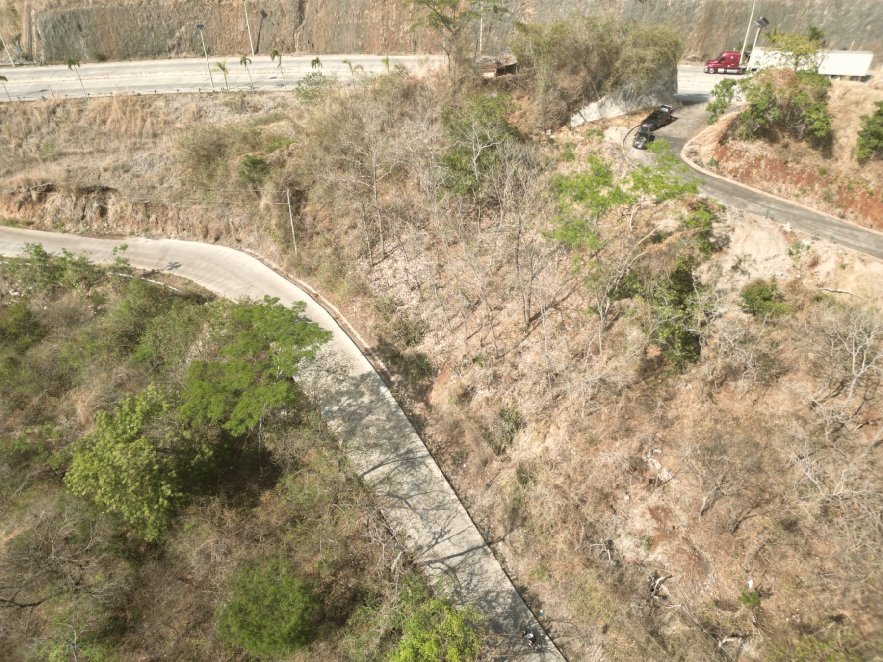 Roads and plot boundaries from above